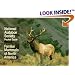 National Audubon Society Pocket Guide to Familiar Mammals (Audubon Society Pocket Guides)