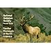 National Audubon Society Pocket Guide to Familiar Mammals (National Audubon Society Pocket Guides)