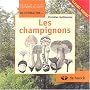 Les champignons