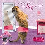Dressing Up Meerkat Birthday Card