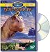 DVD : Dinosaur [Region 2]