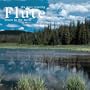 The Most Relaxing Flute Album in the World...Ever!