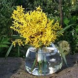 Produkt-Bild: LIFESTYLE GRO&szlig;E GLASVASE VASE MUNDGEBLASENES GLAS