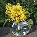 LIFESTYLE GROßE GLASVASE VASE MUNDGEBLASENES GLAS