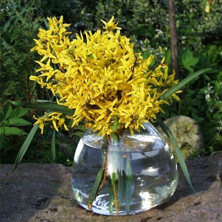 LIFESTYLE GROßE GLASVASE VASE MUNDGEBLASENES GLAS