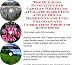 The Guerilla Marketing, Building Effective Lead Capture Web Pages, Affiliate Marketing for Fuel Transfer and Lubrication Products Businesses