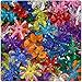 BeadTin Transparent Multi Colored 18mm SunBurst Craft Beads (150pcs)