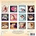 Sleeping Beauties: Newborns in Dreamland 2014 Wall (calendar)
