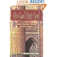 No God but God: A Path to Muslim-Christian Dialogue on God's Nature (Faith Meets Faith Series) by A. Christian Van Gorder