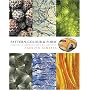 Pattern, Colour and Form: Creative Approaches by Artists