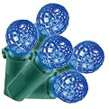 Philips LED Sphere Net Lights - Blue (4x4')