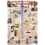 Anglo-Saxon and Viking Invaders (Laminated posters)