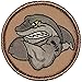 Muscle Shark Patrol Patch - 2