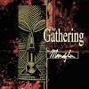 Mandylion (Limited Mftm 2013 Edition)