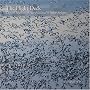 The Flight Deck: Digital Rhythms of Our National Wildlife Refuges