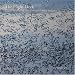 The Flight Deck: Digital Rhythms of Our National Wildlife Refuges