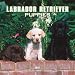 Labrador Retriever Puppies 2007 Mini Calendar