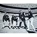 Steiner Sports MLB New York Mets Art Shamsky / Bud Harrelson Dual Signed NY Tossing Ball Horizontal 16x20 Photograph(Signed in Blue)