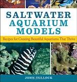 Saltwater Aquarium Models: Recipes for Creating Beautiful Aquariums That Thrive