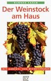 BLV Taschenb&uuml;cher, Der Weinstock am Haus - Werner Fader