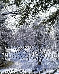Cold Winter Day at Arlington National Cemetery Photograph - Beautiful 16"x20" Photographic Print by Carol M. Highsmith
