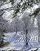 Cold Winter Day at Arlington National Cemetery Photograph - Beautiful 16"x20" Photographic Print by Carol M. Highsmith