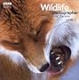 Wildlife Photographer of the Year: Portfolio 15