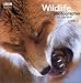 Wildlife Photographer of the Year Portfolio 15 (Wildlife Photographer of the Year)