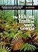 The Hiking Trails Of North Georgia