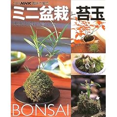 ミニ盆栽と苔玉―失敗しない育て方 (別冊NHK趣味の園芸)