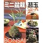 �~�j�~�͂Ƒۋʁ\���s���Ȃ���ĕ� (�ʍ�NHK��̉��|)