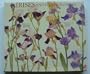 Irises and Other Flowers