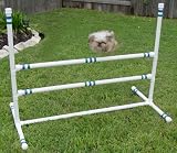 Dog Agility - 3 Single Double-Bar Jumps