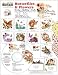 ScrapSMART - Butterflies & Flowers CD Collection - Jpeg & PDF Files (CDBFC62)