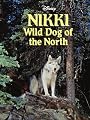 Nikki, Wild Dog Of The North