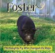 Foster; The naughty pig who changed his ways