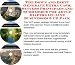 Search : The Down and Dirty Generate Extra Cash, Success Principles and eCommerce for Adult Diapers On-line Businesses 3 CD Pack