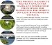 Book The Secret Generate Extra Cash, Inner Game and Godfather Principles for Badminton Equipment On-line Businesses 3 CD Pack