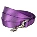 Blueberry Pet Essentials Dark Orchid Dog Leash for Small -5' * 5/8