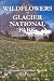 Search : Wildflowers of Glacier National Park: And Surrounding Areas