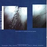 Musical Dilemmas Innovations in Experimental Beats