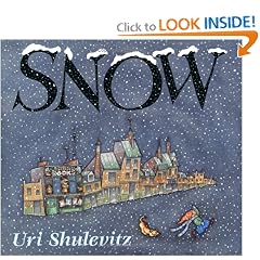 Snow (Caldecott Honor Book)