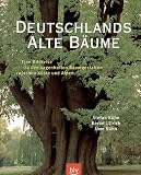 Deutschlands alte B�ume - Stefan K�hn