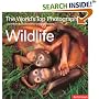 The World's Top Photographers Wildlife: And the Stories Behind Their Greatest Images (World's Top Photographers)