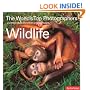 The World's Top Photographers Wildlife: And the Stories Behind Their Greatest Images
