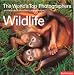The World's Top Photographers Wildlife: And the Stories Behind Their Greatest Images (World's Top Photographers)