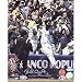Steiner Sports MLB David Wright Dive In The Stands Autographed 8-by-10-Inch Photograph