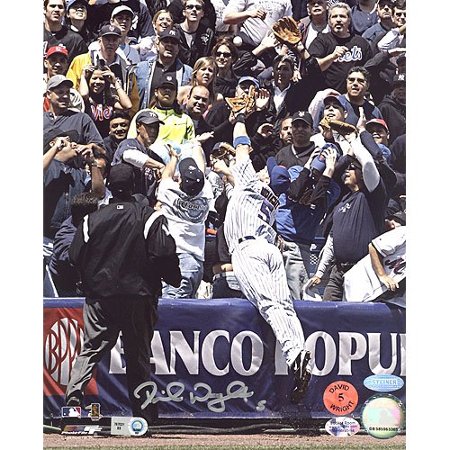 Steiner Sports MLB David Wright Dive In The Stands Autographed 8-by-10-Inch Photograph