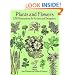 Plants and Flowers: 1761 Illustrations for Artists and Designers (Dover Pictorial Archive Series)