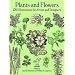 Plants and Flowers: 1761 Illustrations for Artists and Designers (Dover Pictorial Archive)